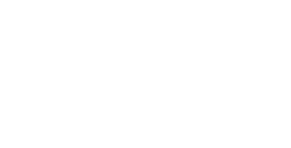 Too wild white logo